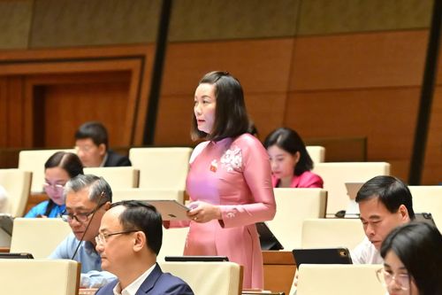 Cần cơ chế ràng buộc trách nhiệm trong thực thi chính sách bảo vệ môi trường