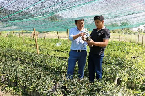 Nghĩa Thuận đưa Nghị quyết Đại hội vào cuộc sống