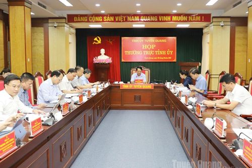 Thường trực Tỉnh ủy họp, cho ý kiến vào nhiều nội dung quan trọng