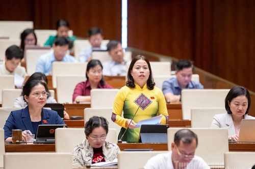 Trưởng Đoàn ĐBQH tỉnh Lý Thị Lan: Phải sớm tháo gỡ bất cập trong quy định về cấp Giấy phép môi trường