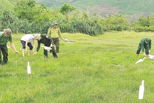 Bảo vệ chim trời mùa di cư