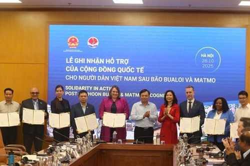 Hơn 7,1 triệu USD tiền mặt phát cứu trợ người dân thiên tai