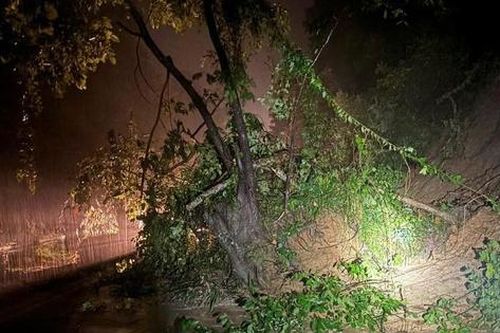 Kịp thời giải phóng sạt lở đường đèo Ngoạn Mục, thông xe quốc lộ 27