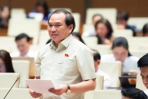 Đại biểu Quốc hội: Cần quyết liệt xử lý vi phạm môi trường như xử lý nồng độ cồn