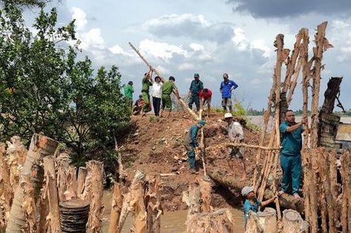 Vĩnh Long họp khẩn ứng phó triều cường làm vỡ đê bao nhiều nơi