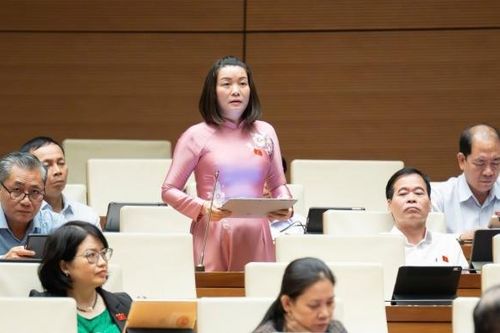 Bảo vệ môi trường: Không thiếu luật, mà thiếu ý thức và trách nhiệm đến cùng