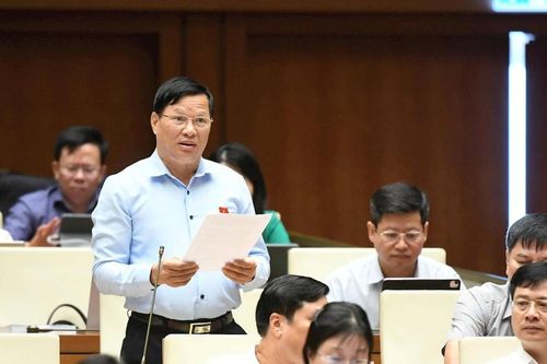 Cần chính sách đặc thù về đầu tư, xử lý chất thải rắn