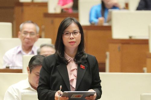 ĐBQH Chu Thị Hồng Thái (Lạng Sơn): Cần sớm hoàn thiện cơ chế tài chính môi trường