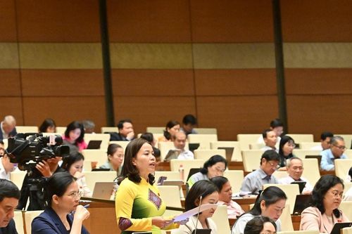 Hoàn thiện khung pháp lý về cấp giấy phép môi trường