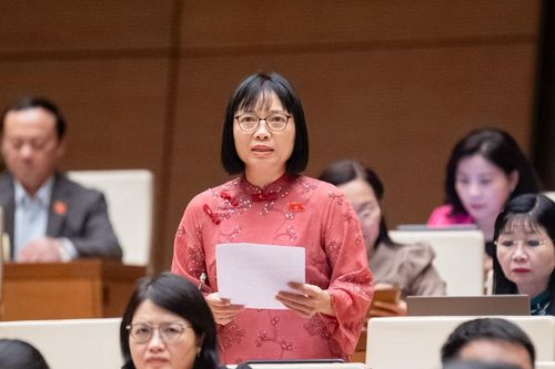 Nâng tỷ trọng chi ngân sách cho bảo vệ môi trường