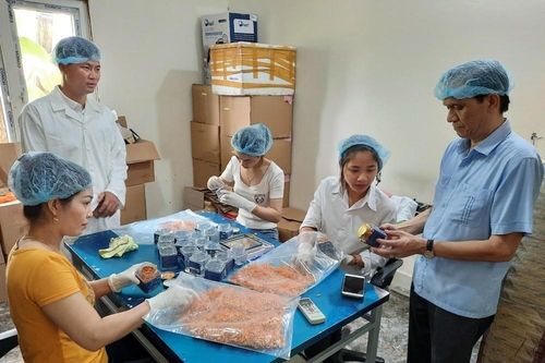 Quỹ Hỗ trợ phát triển HTX Việt Nam: 'Mở đường' giảm nghèo bền vững cho HTX