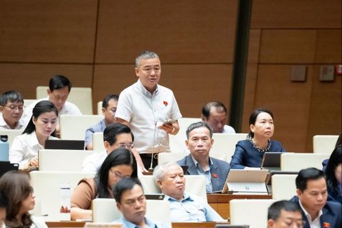 Lũ lụt nghiêm trọng, đại biểu Quốc hội lo lắng khi rừng tự nhiên vẫn bị thu hẹp