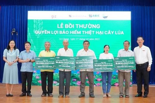 Bảo hiểm cây lúa từ ABIC giúp nông dân an tâm sản xuất