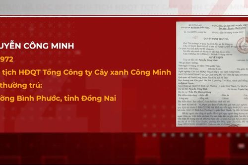 Truy nã đặc biệt Chủ tịch HĐQT Tổng công ty Cây xanh Công Minh