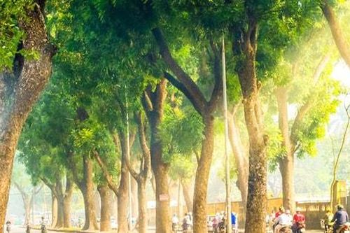 Bắc Bộ ngày nắng hanh, sáng sớm và đêm trời lạnh