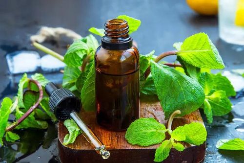 Cách dùng bạc hà giảm buồn nôn
