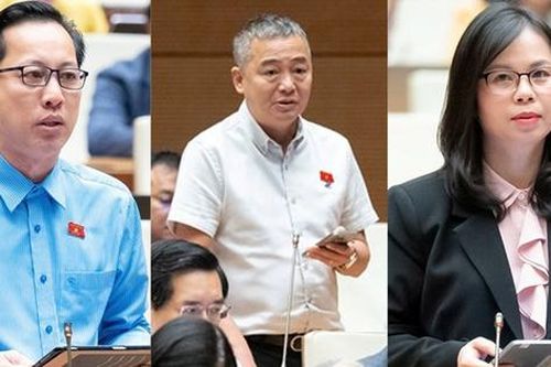 Thiên tai ngày càng khốc liệt, ĐBQH đề nghị giữ rừng, xử lý phá rừng lấy gỗ và làm dự án