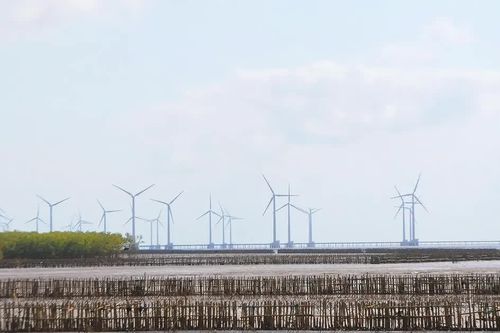 Cần Thơ thừa 50% công suất điện