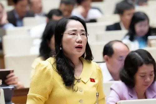 Đại biểu Quốc hội đề nghị xây dựng bộ sách giáo khoa có thể tái sử dụng trong nhiều năm