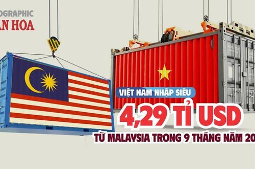 (Infographic) Việt Nam nhập siêu 4,29 tỉ USD từ Malaysia trong 9 tháng năm 2025