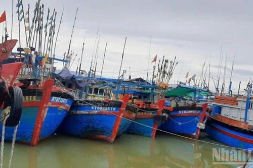 Khánh Hòa: Sớm nâng cấp cảng cá Đông Hải