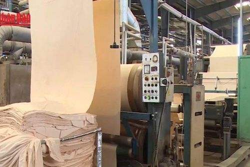 Tăng giá trị gia tăng cho ngành dệt may Việt Nam