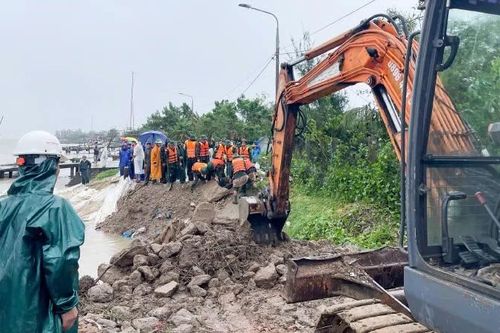 Khẩn trương gia cố bờ kè bến cá An Lương
