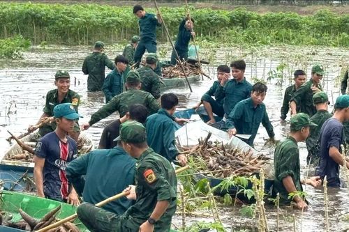 Bộ đội Biên phòng tỉnh An Giang giúp dân thu hoạch hoa màu, đắp đê chống ngập