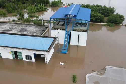 Lâm Đồng: Ngập nhà máy xử lý nước, hàng ngàn người dân thiếu nước sinh hoạt