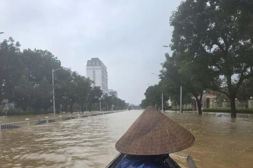 Huế: Chấn chỉnh lái đò 'chặt chém' trong mùa lũ