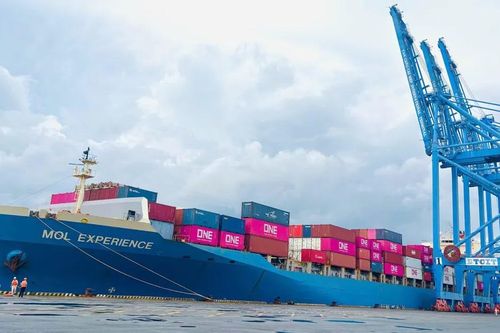 Tân Cảng – Cái Mép đón chuyến tàu đầu tiên kết nối trực tiếp Việt Nam - Brazil