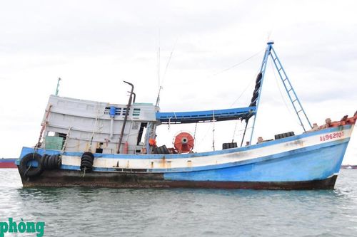 Điều tra, xác minh tàu cá vi phạm các quy định về lĩnh vực thủy sản