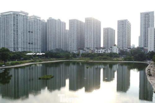 Lều lán, nhà tôn trái phép hóa vườn hoa tại khu chung cư đông đúc bậc nhất Thủ đô