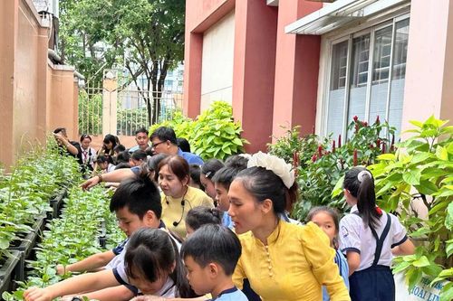 Giữa lòng TPHCM, học sinh tiểu học làm nông, hái rau