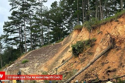 Khẩn trương khắc phục sạt lở, đảm bảo lưu thông an toàn trên đèo D'Ran