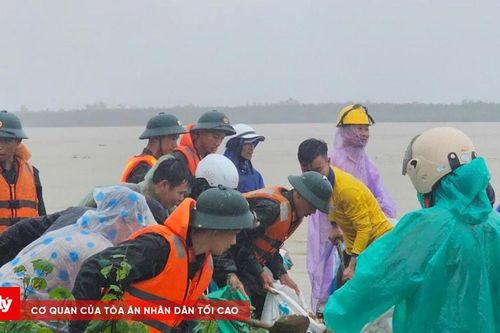 Đà Nẵng: Huy động Sư đoàn 315 khẩn cấp xử lý sạt lở bờ kè Duy Nghĩa