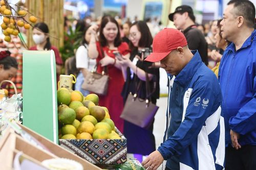 'Xương sống dữ liệu' giúp hàng Made in Vietnam bước ra thế giới bằng hộ chiếu số