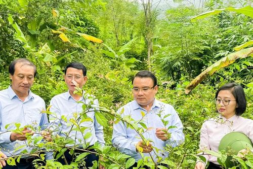 Phó Chủ tịch UBND tỉnh Phùng Thành Vinh kiểm tra, tháo gỡ khó khăn vận hành chính quyền địa phương 2 cấp tại các xã miền Tây Nghệ An