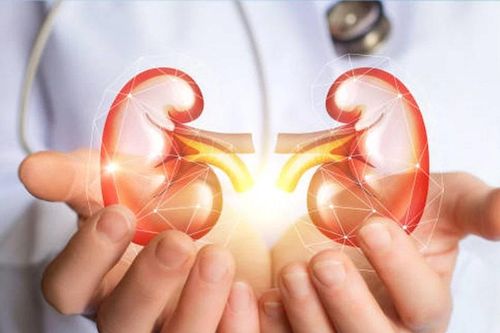 5 loại đồ uống tốt nhất giúp thận của bạn luôn khỏe mạnh