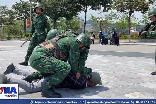 Lực lượng biên phòng Việt Nam-Trung Quốc tăng cường phối hợp