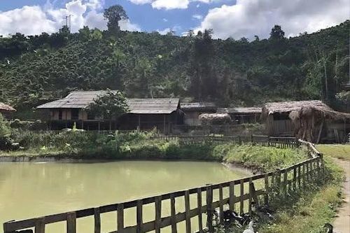 Bản Liền - Điểm đến hấp dẫn nhiều du khách giữa núi rừng yên bình