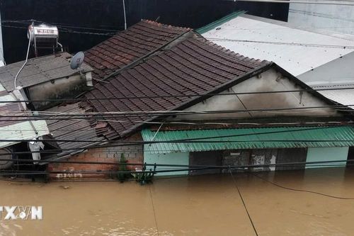 Quảng Ngãi gồng mình ứng phó với mưa lũ, hàng trăm điểm sạt lở núi