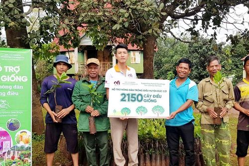Đầu tư công nghệ giúp Việt Nam vững vị thế trung tâm sản xuất điều thế giới