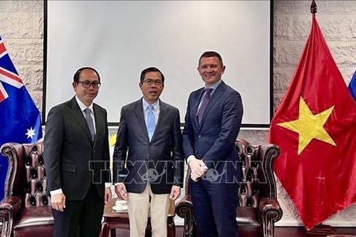 Việt Nam và Australia đẩy mạnh hợp tác phát triển lúa gạo