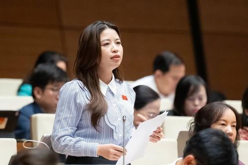 'Những giáo viên bị bạo lực phải sống trong lo sợ, dễ tổn thương'