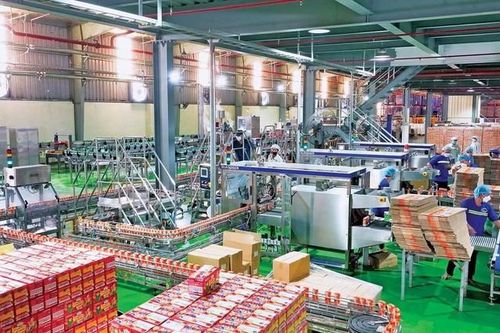 Chi phí leo thang, lợi nhuận Sữa Lof 'trượt dốc' trong quý III/2025