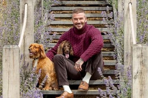 Siêu sao bóng đá lừng danh David Beckham vui thú điền viên
