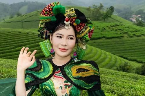 MV 'Hẹn hò Phú Thọ' tôn vinh vẻ đẹp đất Tổ