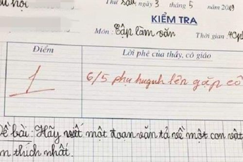 Học trò viết bài văn bày tỏ tình cảm với chú chó, cô chấm 1 điểm còn mời cả phụ huynh lên gặp