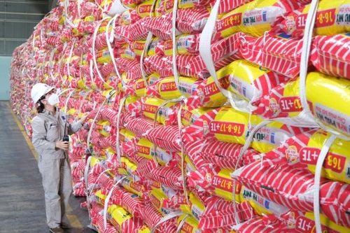 Biên lợi nhuận gộp tăng vọt, Đạm Phú Mỹ báo lãi ròng tăng 275%